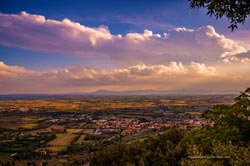  cortona